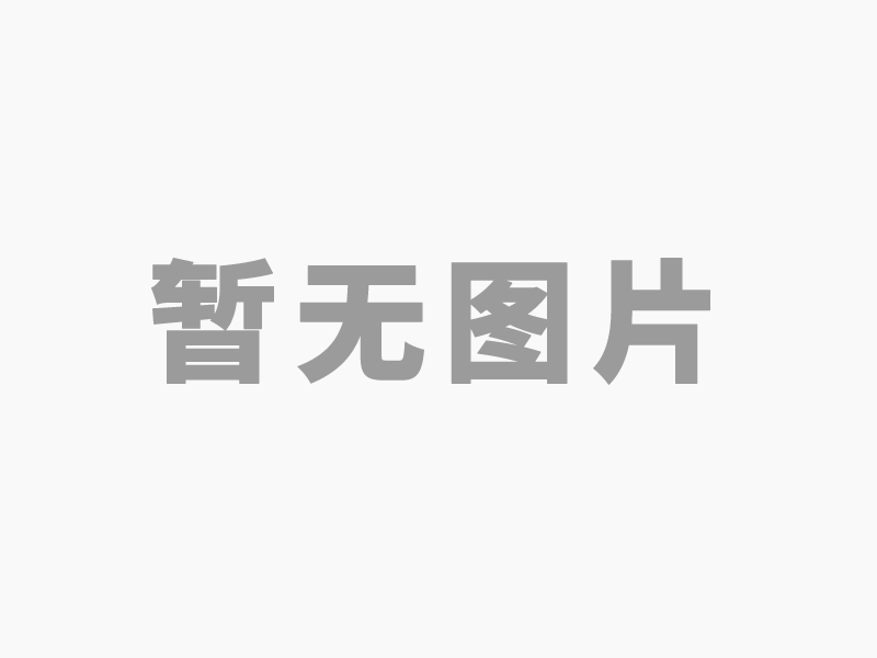 高效節(jié)能的專業(yè)有機(jī)肥造粒機(jī)